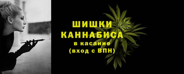 ПСИЛОЦИБИНОВЫЕ ГРИБЫ Губаха