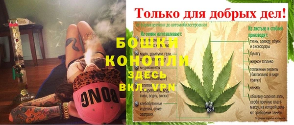 дживик Протвино