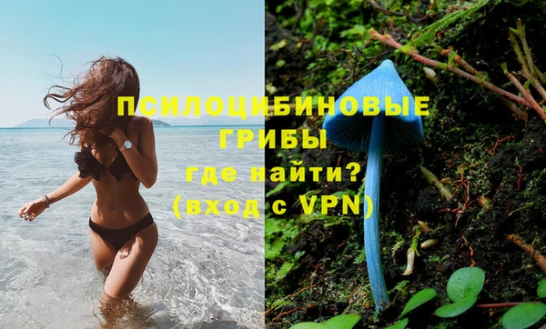 синтетический гашиш Пролетарск